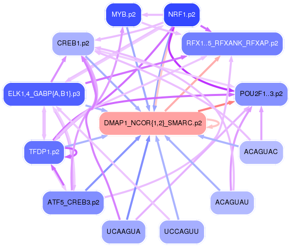 PNG image of the network